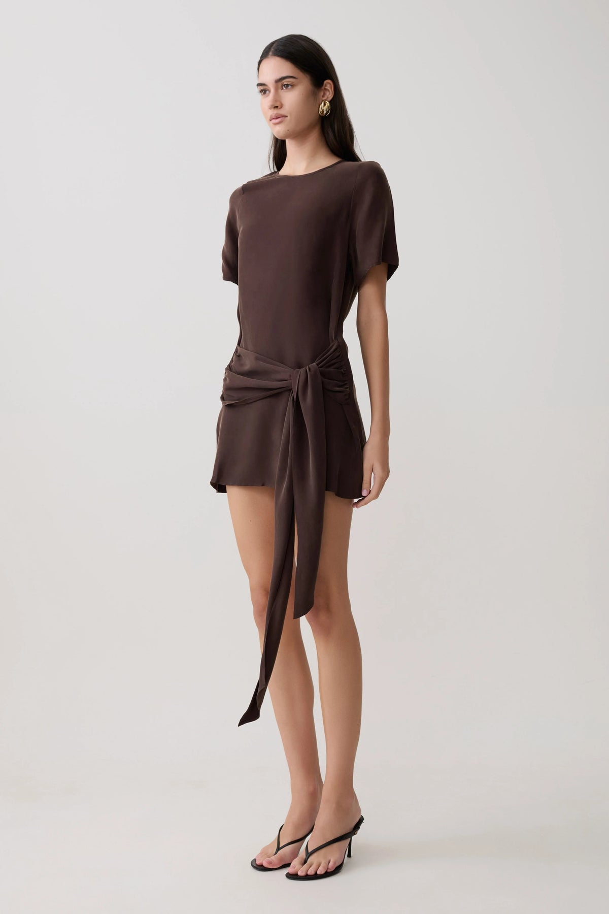 Felicity Short Sleeve Dress With Waist Tie - Dark Chocolate